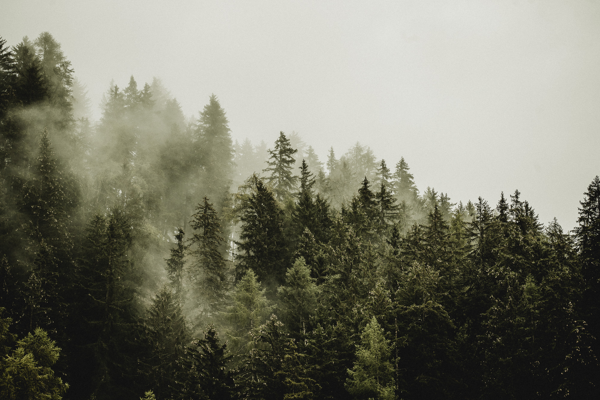 Export x3 1DX23870 Fotoshooting 2018 Annette & Mike Nauders 2